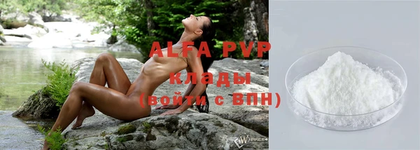 трава Инта