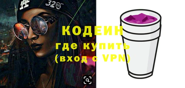 трава Инта