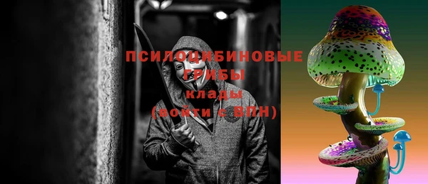 кокс Инсар