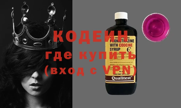 трава Инта