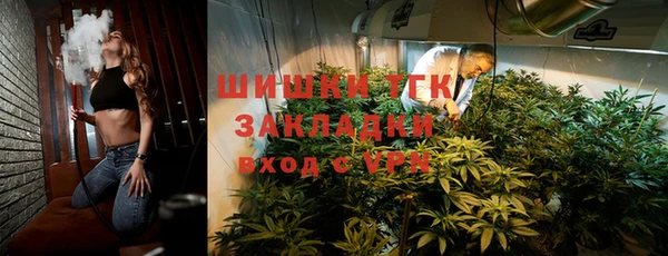 трава Инта