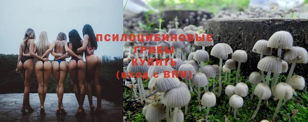кокс Инсар