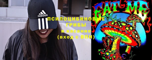 кокс Инсар