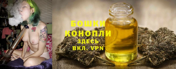 трава Инта