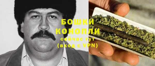 трава Инта