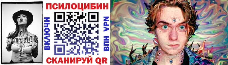 Купить закладки Зеленодольск Псилоцибиновые грибы Psilocybine cubensis